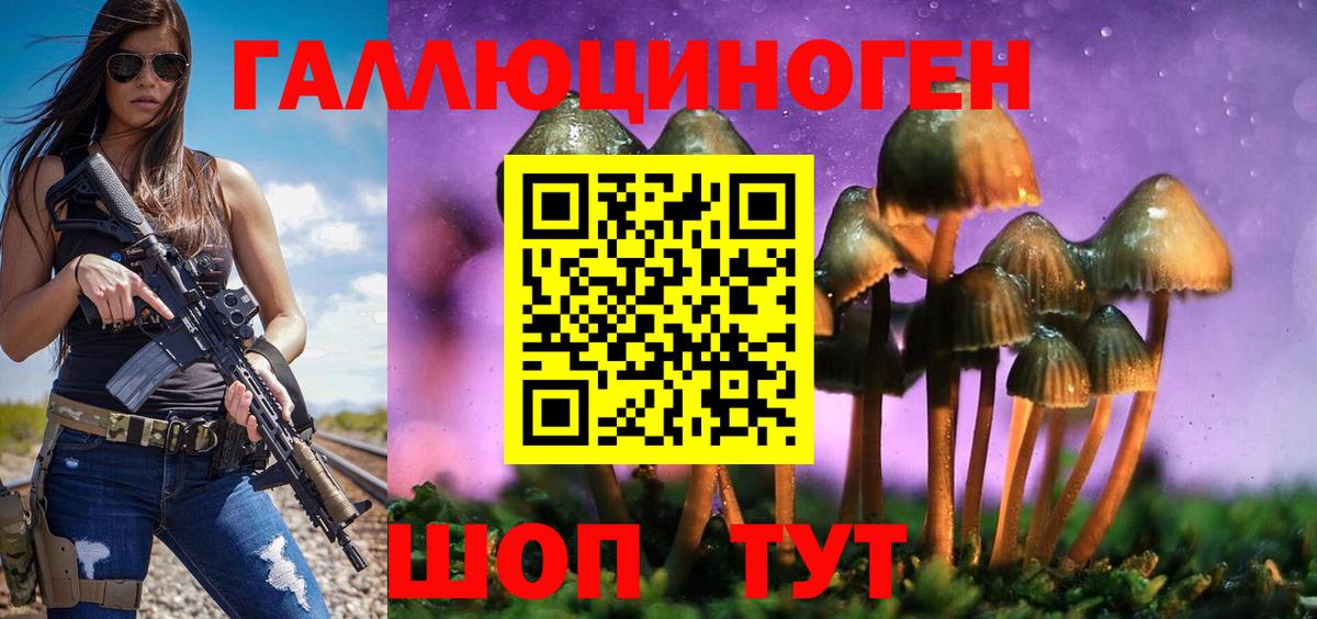 Псилоцибиновые грибы мухоморы  Вход с VPN  Дальнереченск 
